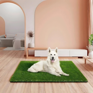 PawLawn