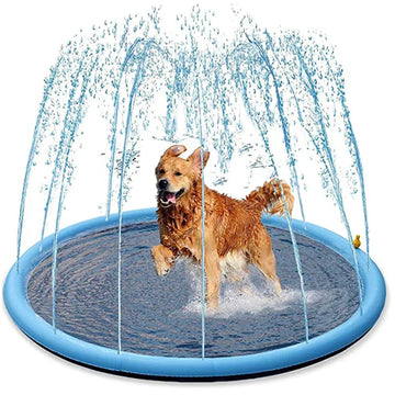 SplashPaws